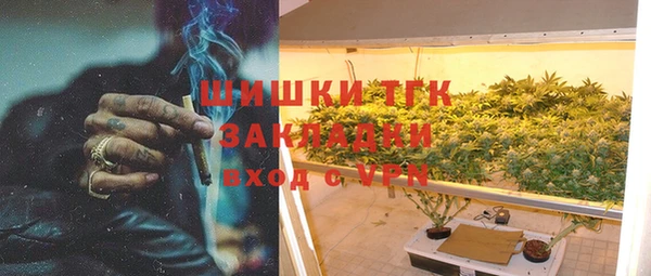 ПСИЛОЦИБИНОВЫЕ ГРИБЫ Осинники