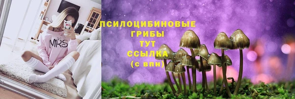 МДПВ Карталы